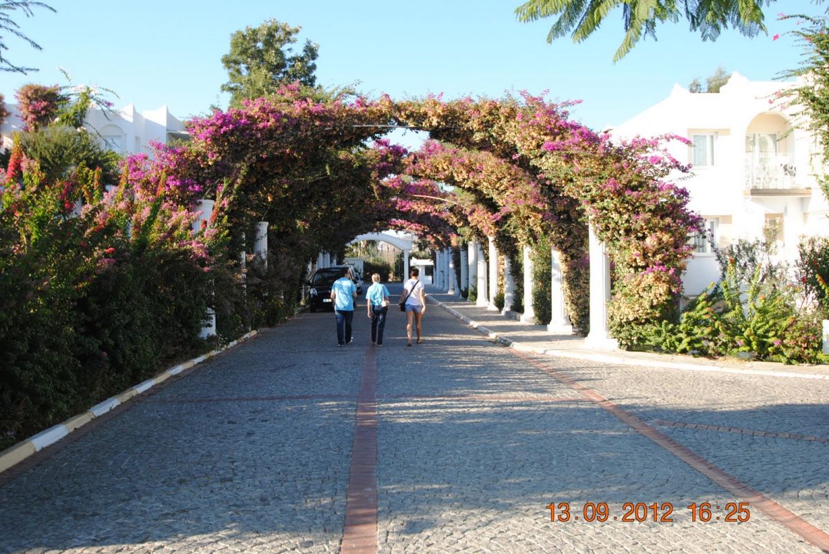 imagini hotel CLUB KADIKALE BODRUM